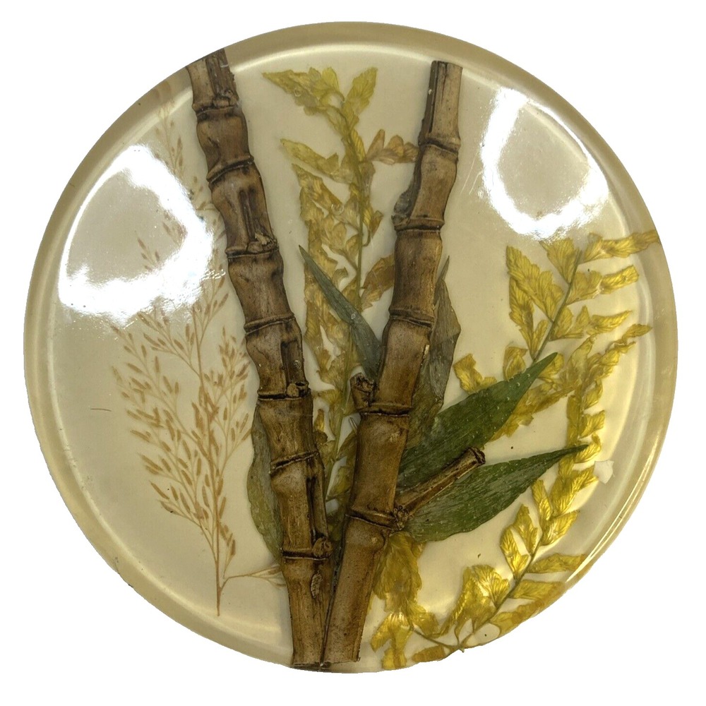 VTG Acrylic Lucite Resin Trivet Bamboo And Wheat Creamy White Boho 70's 5.25"